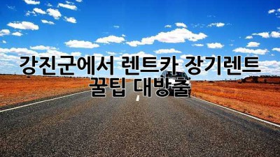 강진군에서 렌트카 장기렌트, 꿀팁 대방출!